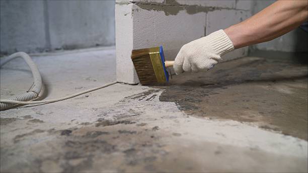 SJ Waterproofing Pros Waterproofing coverage map for Saint Bonifacius, MN and surrounding area